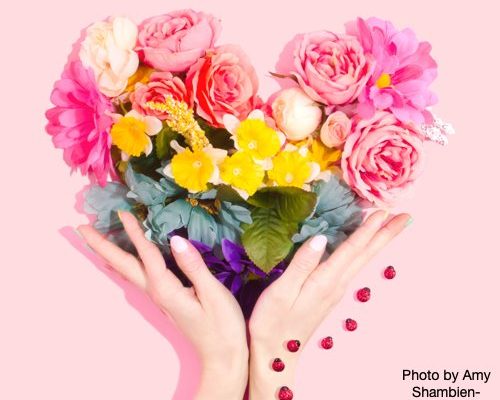Bouquet of Flowers with a Pink Background